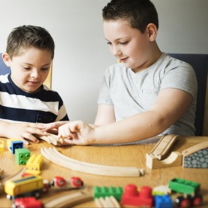 Zihinsel Engelliler Destek Eğitim Programı