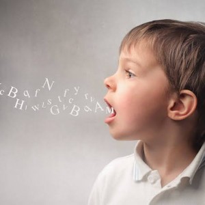 Dil ve Konuşma Güçlüğü Destek Eğitim Programı